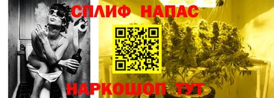 дмт Будённовск