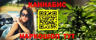дмт Будённовск
