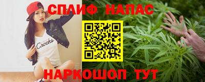 дмт Будённовск