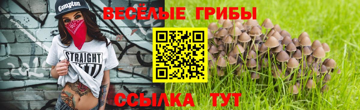 Псилоцибиновые грибы GOLDEN TEACHER  Вход с VPN  Псилоцибиновые грибы Psilocybe  Узловая 