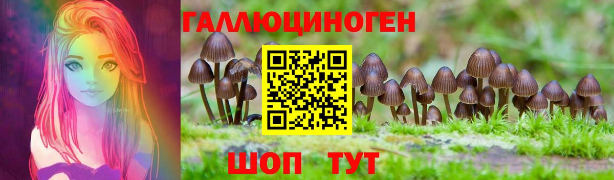 Галлюциногенные грибы Psilocybine cubensis Узловая